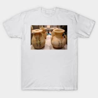 Alabaster vases T-Shirt